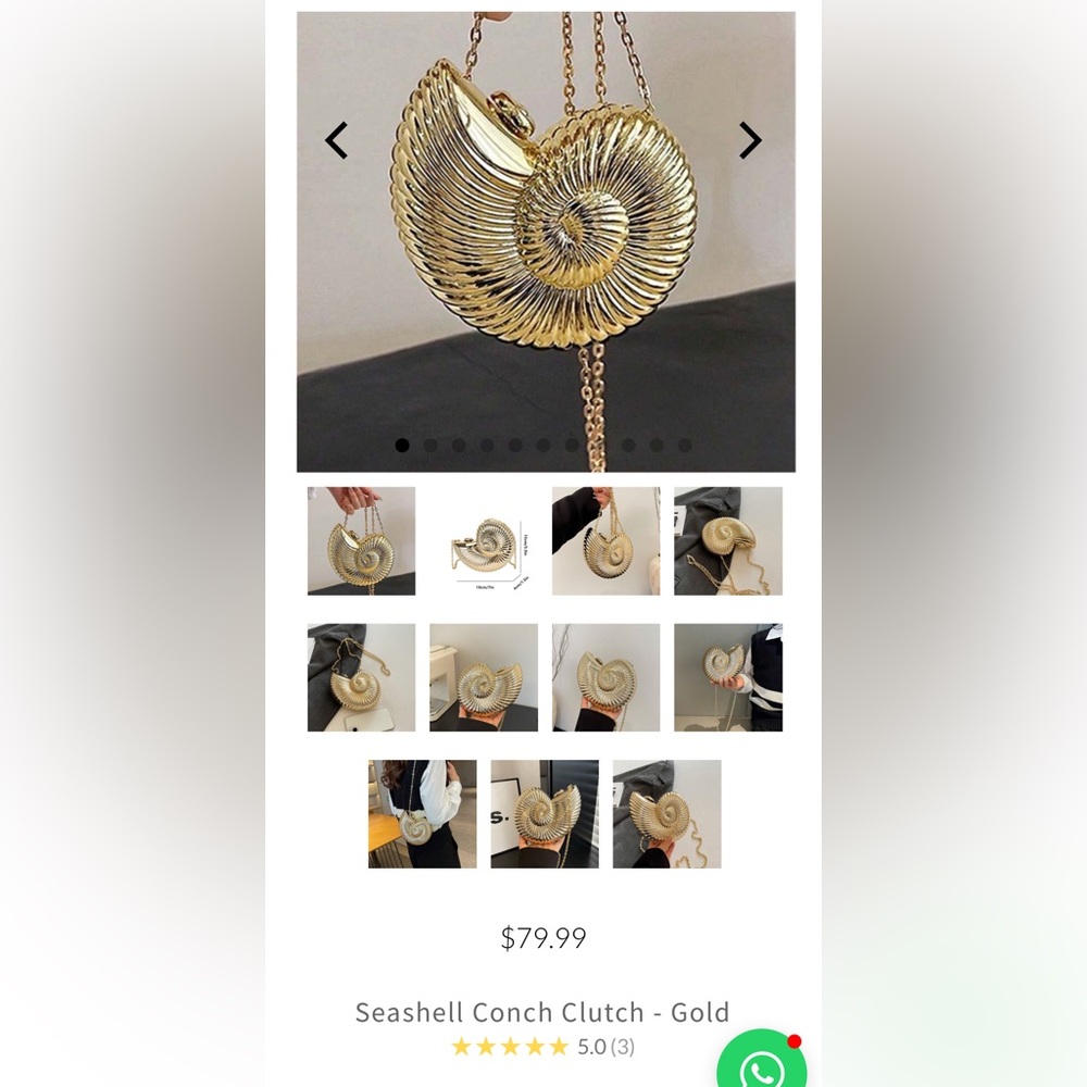 Seashell Conch Clutch - Picture 4 of 4